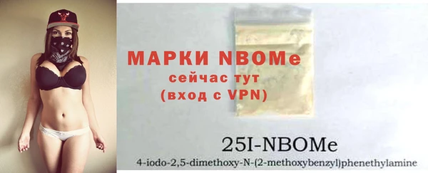 прущий лед Дмитриев