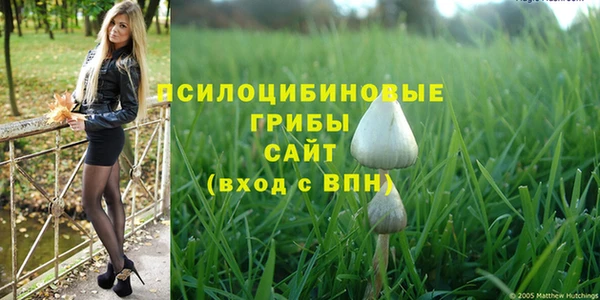метамфетамин Гусев