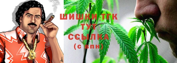 прущий лед Дмитриев
