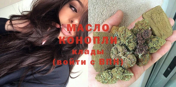 прущий лед Дмитриев