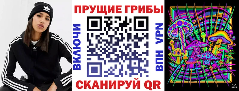 Галлюциногенные грибы мицелий  наркота  Березники 